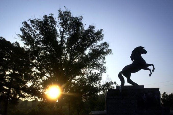 The Fayetteville State University Bronco statue at the campus on Murchison Road.  The university ranked as No. 7 in the nation this past year for being a top affordable historically Black college and university.