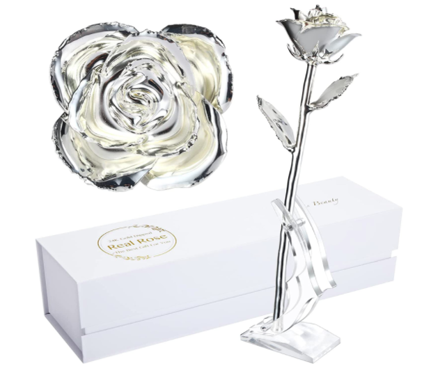 Silver Dipped Rose