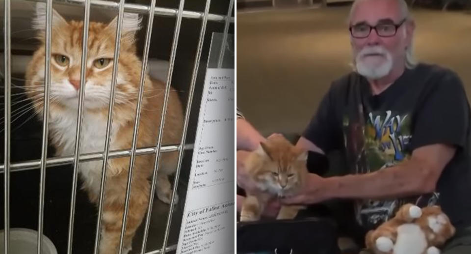 Kyle Preston fought back tears after he was reunited with his beloved Bobby at the airport this week – 18 months after he vanished. Images: SPCA Nevada & KRTV News