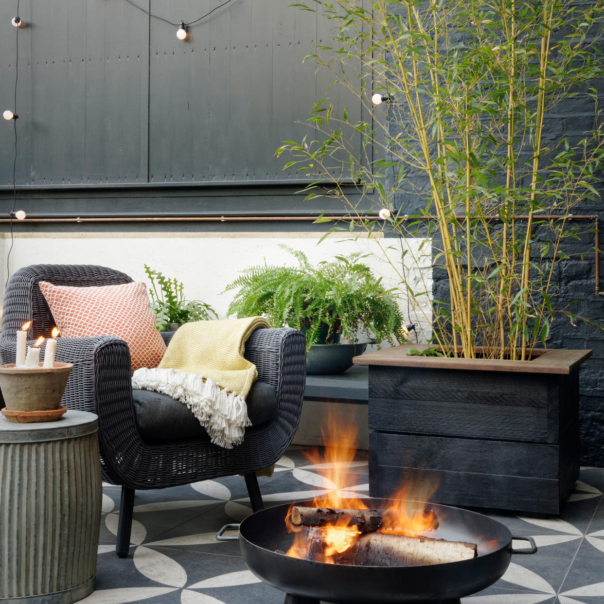  Bamboo in planter next to chair and firepit. 