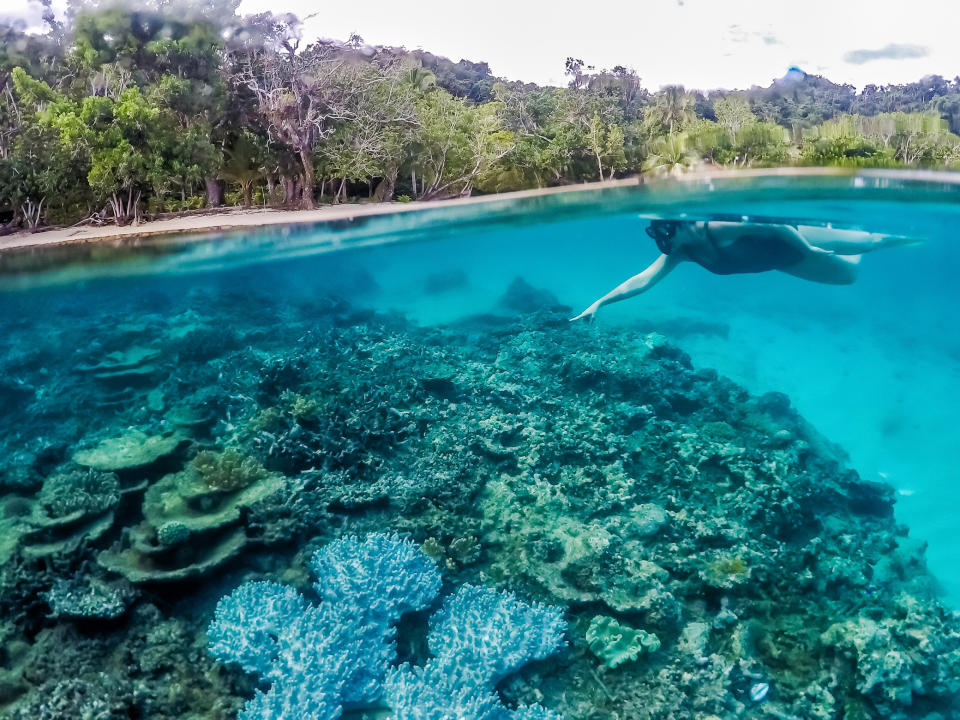 Snorkel or scuba dive in the crystal-clear water. Photo: Supplied