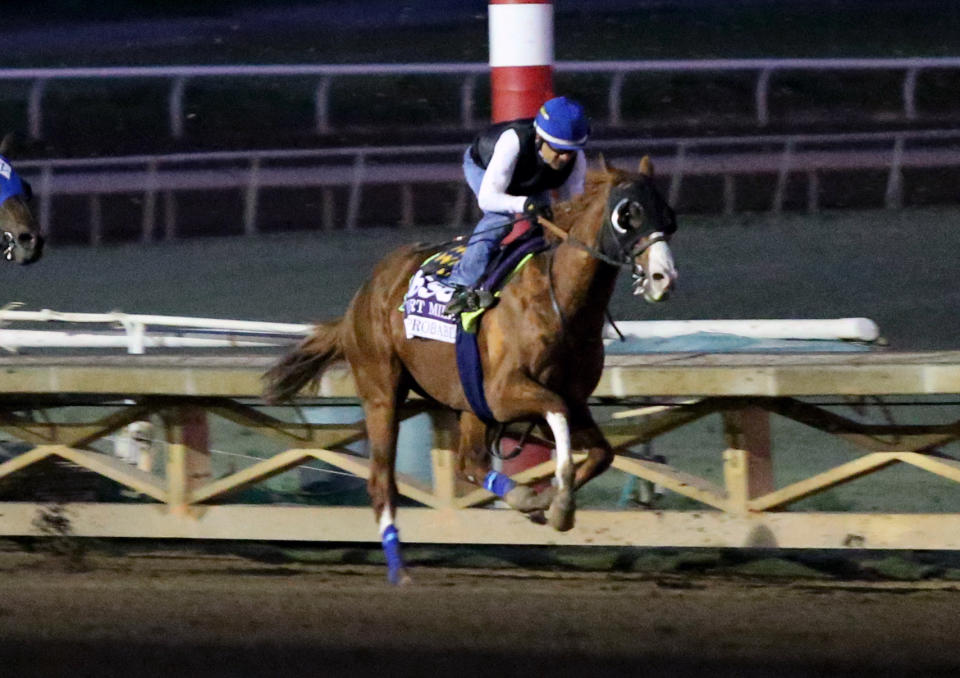 ARCADIA, CALIFORNIA- OCTOBER 27: Improbable works at Santa Anita Park on October 27, 2019 in Arcadia, California (Photo by Horsephotos/Getty Images)