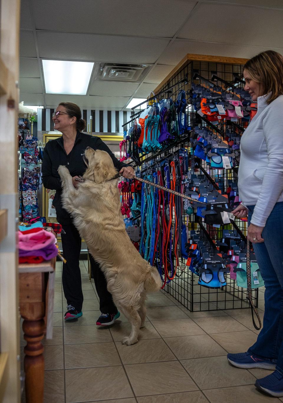 BowWow Meow Boutique Stevens Point branch co-owner Michelle Zimmerman laughs as her dog Beachy hops to give her a kiss as co-owner Anita Freund smiles on March 16.