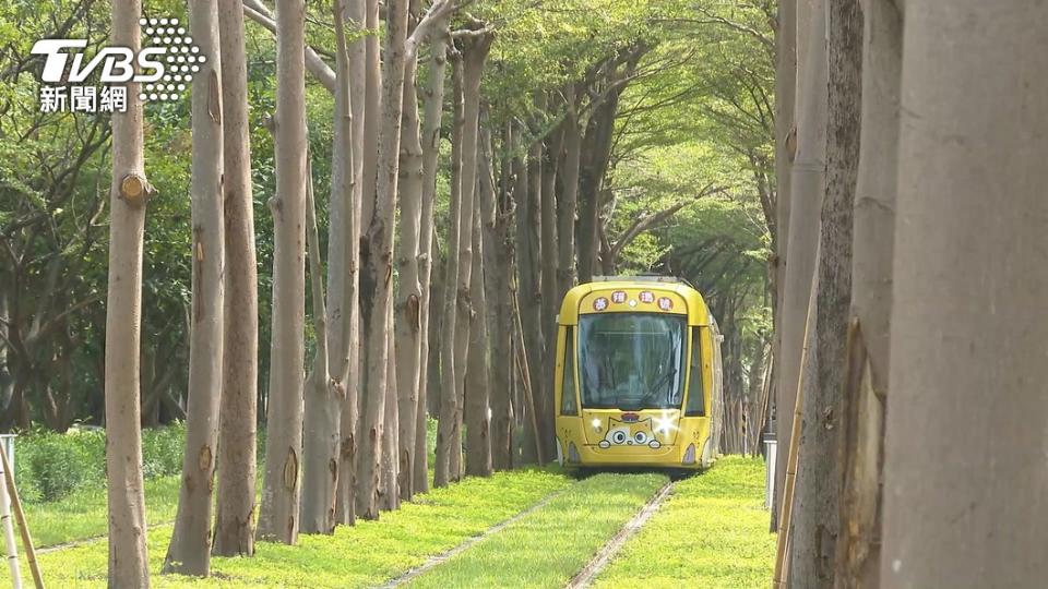 高雄輕軌「龍貓隧道」爆紅。（圖／TVBS）