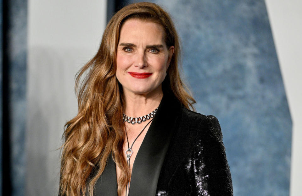 Brooke Shields’ daughters want her to flash far more flesh and hate seeing her in ‘Upper East Side lady clothes‘ credit:Bang Showbiz