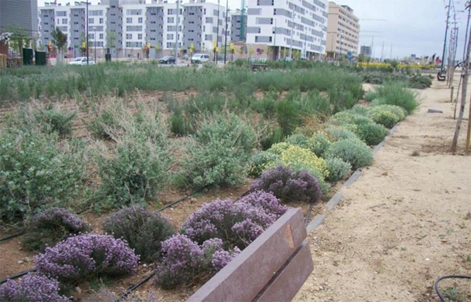 Ejemplo de xerojardinería en Valdespartera (Zaragoza) un tipo de jardín con bajo consumo de agua adecuado para climas secos. <a href="http://urban-e.aq.upm.es/articulos/ver/ecociudad-valdespartera-zaragoza/completo" rel="nofollow noopener" target="_blank" data-ylk="slk:UPM;elm:context_link;itc:0;sec:content-canvas" class="link ">UPM</a>