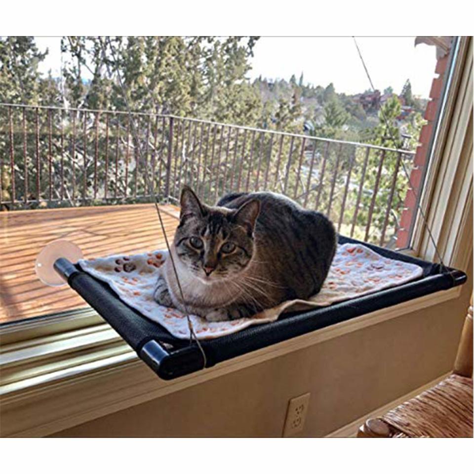 Cat Hammock Window Bed Perch Seat Sunny for Lager Cats Perches Furniture Two Kitty Window Sill Seat Window Mounted Animal Pet Kitten Cot Beds Gre1Bee Upgraded Version 4 Big Suction Cups Holds Up 50lb (Cat bed window). Image via Amazon. 