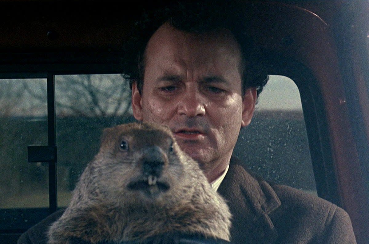 Groundhog Day is a term popularised by the 1993 film starring Bill Murray (Sony Pictures)