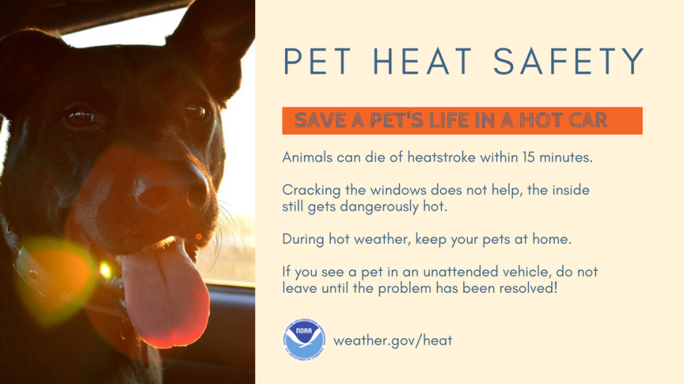 Never leave your pets in a parked vehicle. Cracking the car’s window doesn’t help.