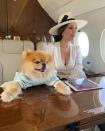 Lisa Vanderpump's Pomeranian Giggy has such a high-flying lifestyle, he's practically become a star in his own right.