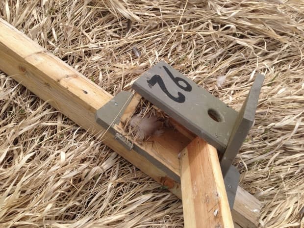 A downed bird box in Salmon Arm, B.C., shows a nest that had already been built.