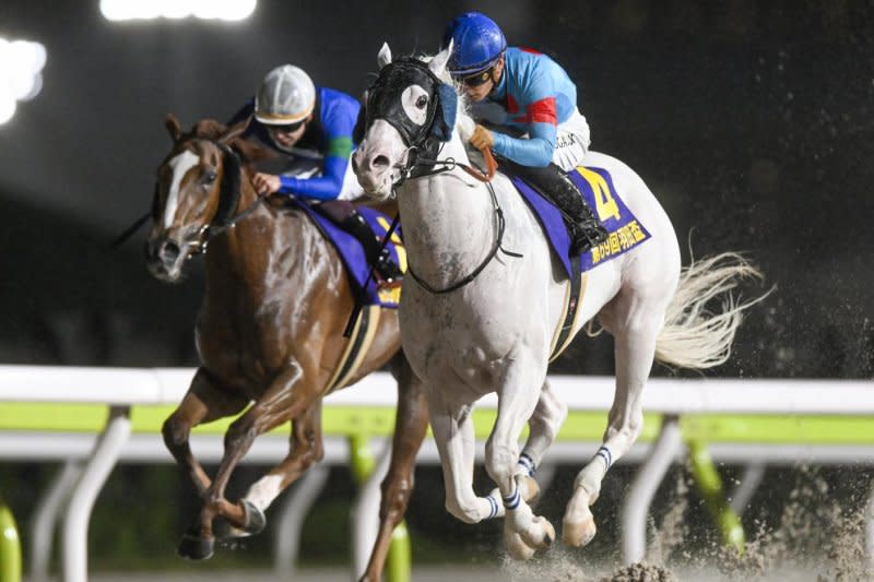 Amante Bianco (the white one) wins Wednesday's Haneda Hai, the first leg of the new Japanese Dirt Triple Crown. Photo by and courtesy of Masakazu Takahashi