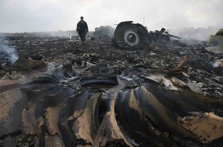 An Emergencies Ministry member walks at a site of a Malaysia Airlines Boeing 777 plane crash near the settlement of Grabovo in the Donetsk region, in this July 17, 2014 file photo. REUTERS/Maxim Zmeyev/Files
