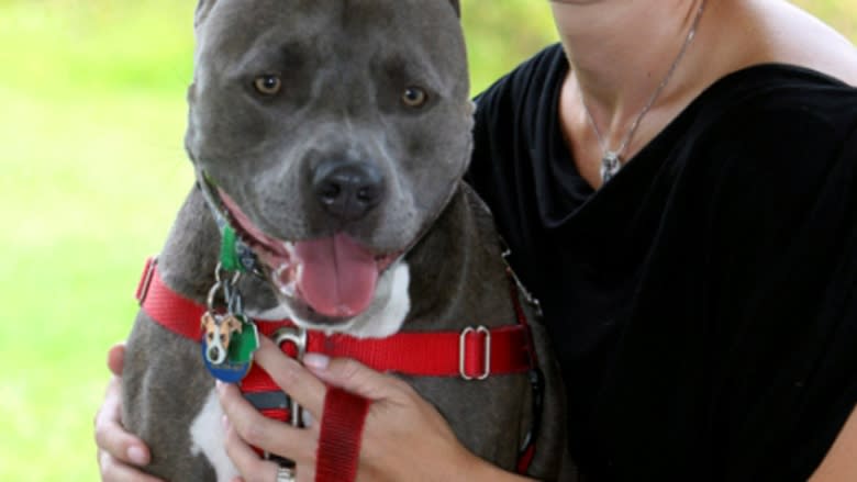 Breed-specific legislation not working for dog control says Prince George's top bylaw officer