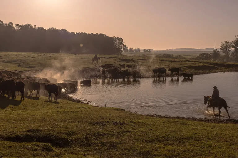 El rancho El Álamo en Velázquez, Uruguay, donde un acuerdo comercial sería bien recibido