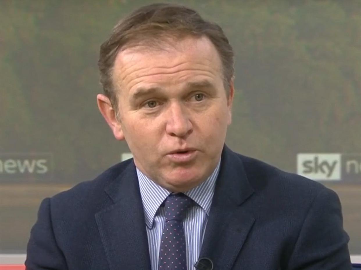 <p>Cabinet minister George Eustice</p> (Sky News)