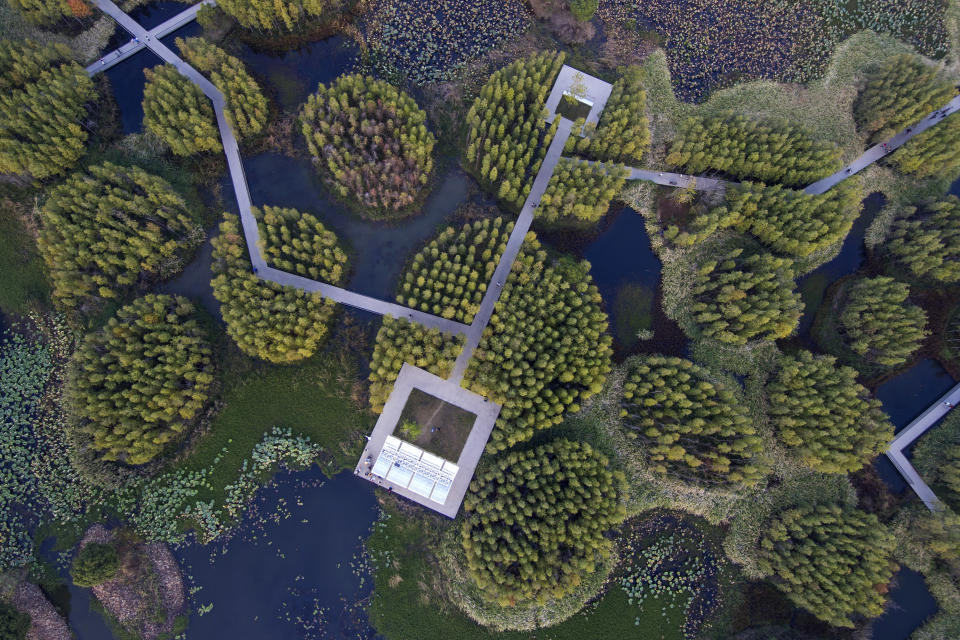 A walkway goes through ponds and islets at the "Fish Tail" sponge park that's built on a former coal ash dump site in Nanchang in north-central China's Jiangxi province on Sunday, Oct. 30, 2022. The concept of the park involves creating and expanding parks and ponds within urban areas to prevent flooding and absorb water for times of drought. (AP Photo/Ng Han Guan)