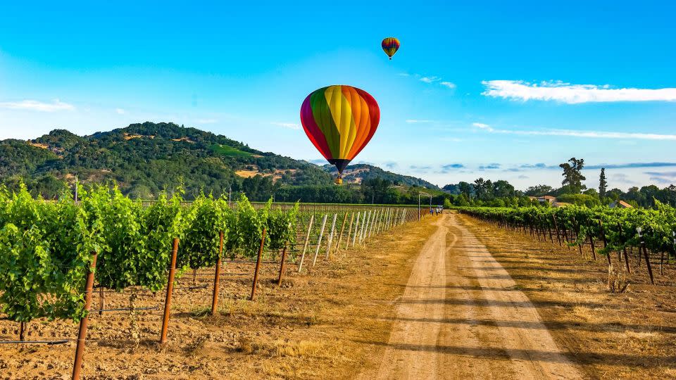 See Napa Valley from above in a hot-air balloon. - Judd Brotman/iStockphoto