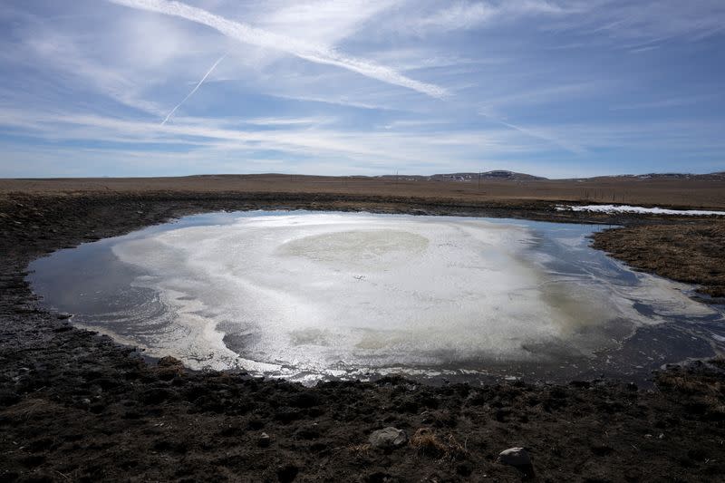 A view of a small body of water in dry ranch land near Pincher Creek