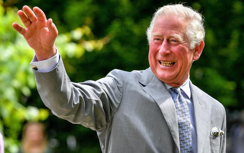 Prince Charles  - Ben Birchall 