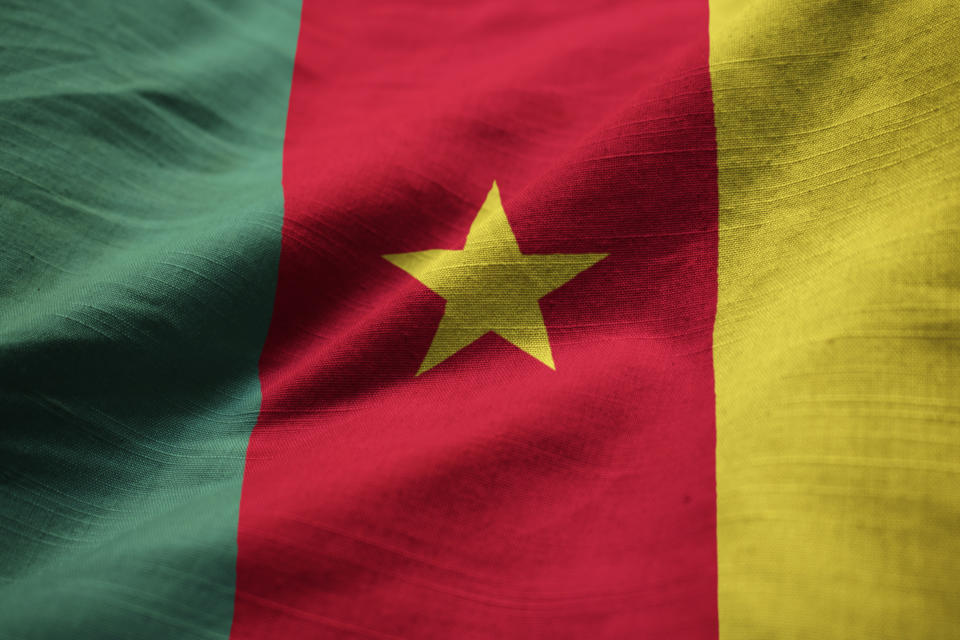 The total value of UK-Cameroon trade was £200m ($272m) in 2019. Above, Cameroon flag. Photo: Getty