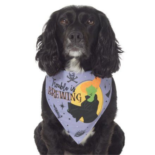 Disney Hocus Pocus Reversible Dog & Cat Bandana