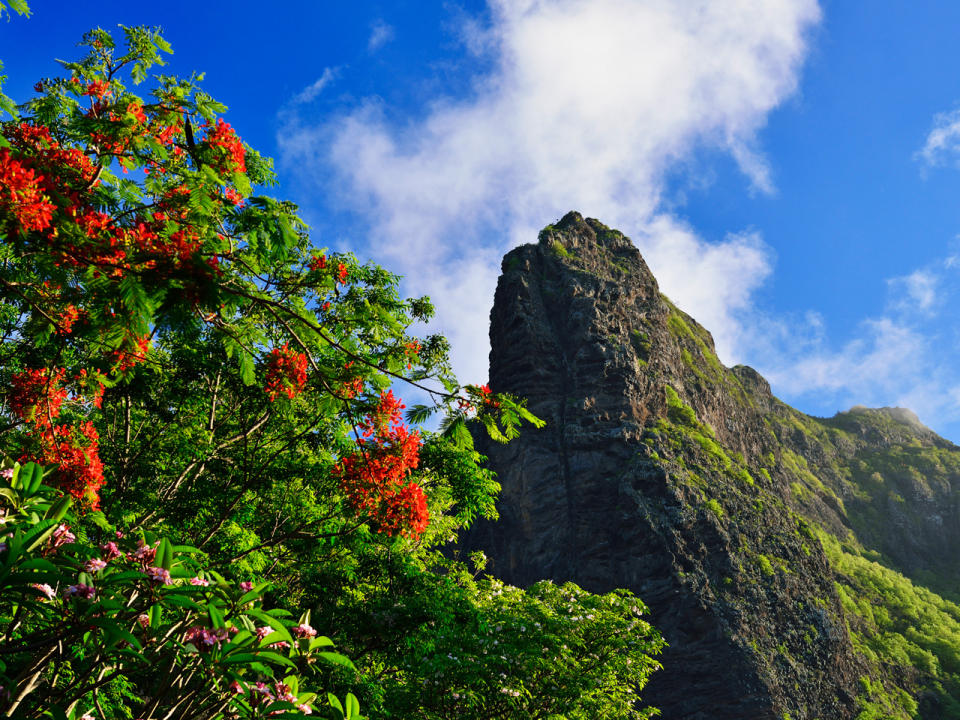 Strände, Palmen, Lagunen und Riffs: Paradiesische Zustände findet man auf Mauritius vor. Der afrikanische Inselstaat ist nicht ohne Grund ein beliebtes Ziel für Flitterwochen. (Bild-Copyright: N. Eisele-Hein/ddp Images)