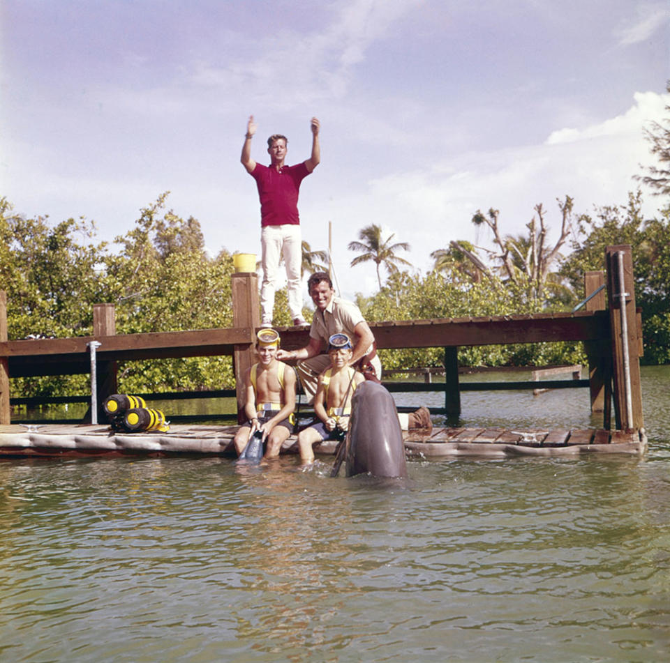 On the set of TV’s ‘Flipper,’ clockwise from top: Ricou Browning and actors Brian Kelly, Tommy Norden and Luke Halpin. - Credit: Everett