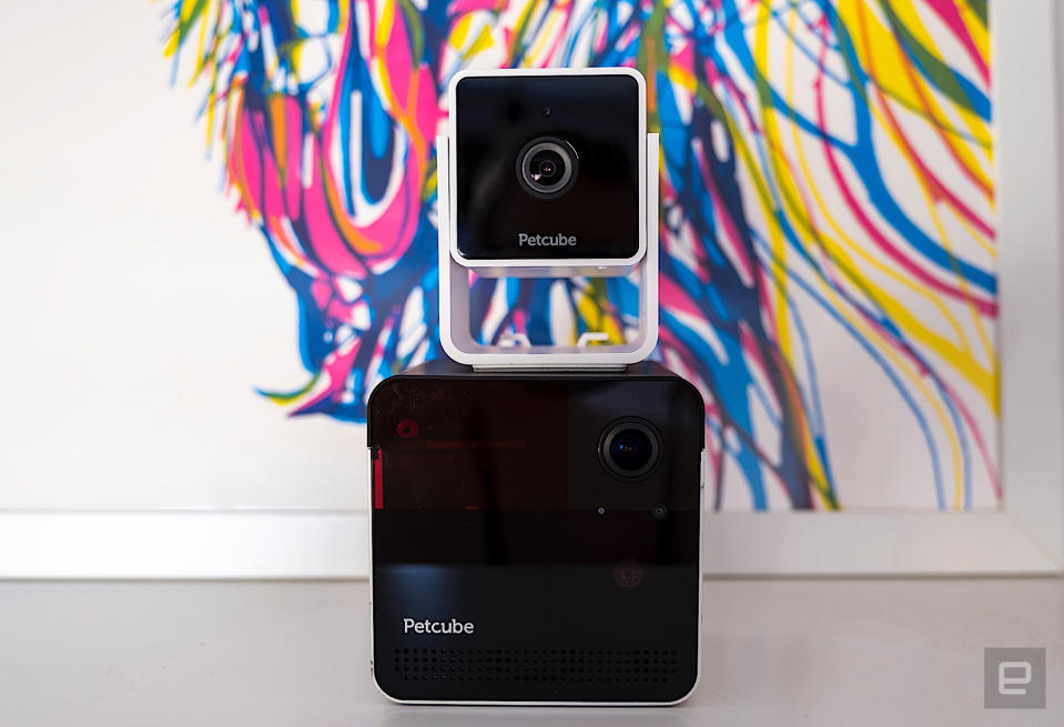 Petcube Cam hands-on