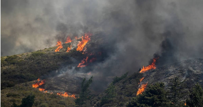 歐盟境內有將近90萬公頃的森林在2022年遭到野火焚毀。（圖／達志／美聯社）