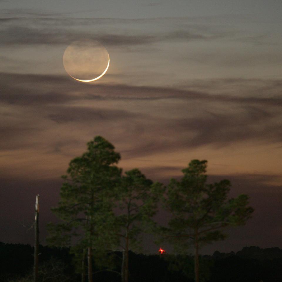 One day past New, an early Waxing Crescent Moon is seen just after sunset, Wednesday, Jan. 9, 2008 from Tyler, Texas. The 'nightside' of the Moon is seen lit by light reflected from the day time side of the Earth and is known as 'Earthshine".