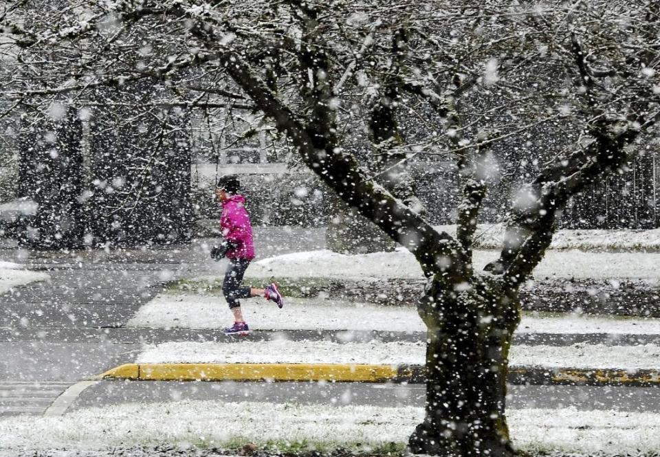 A jogger navigates through a steady snowfall on the Capitol campus in Olympia, Wash., Sunday, Feb. 5, 2017, in advance of a more vigorous system which has spawned a winter storm warning across the region for overnight and into Monday. (Steve Bloom/The Olympian via AP)