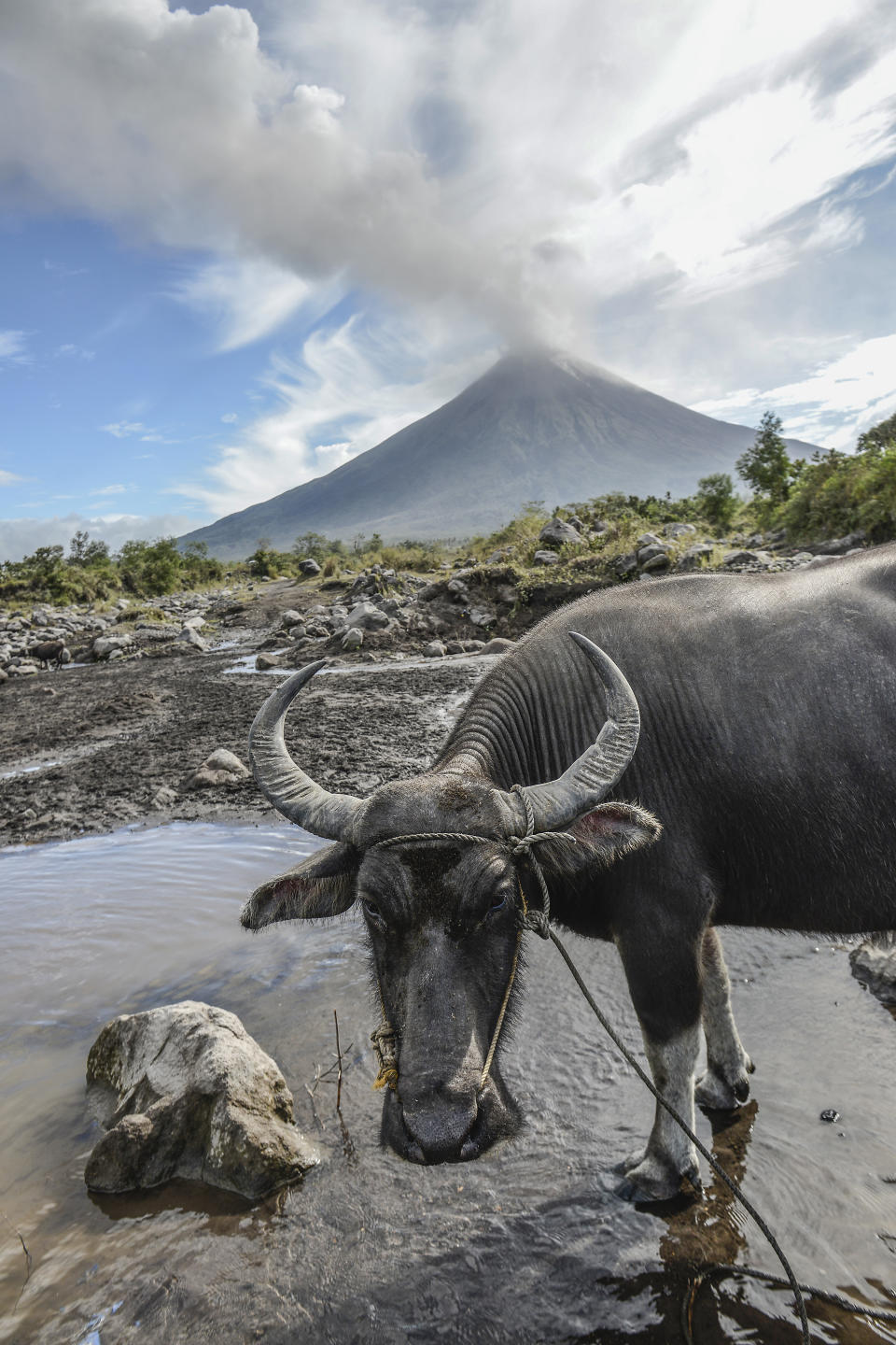 Mayon Volcano spews lava