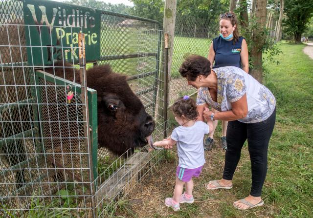 Wildlife Prairie Park