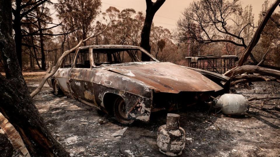 El gobierno de cada estado maneja su propia operación de emergencia. El primer ministro de Australia, Scott Morrison, prometió mejor más financiamiento para los bomberos y una paga para los bomberos voluntarios. También anunció el envío de 3.000 soldados para luchar contra las llamas.