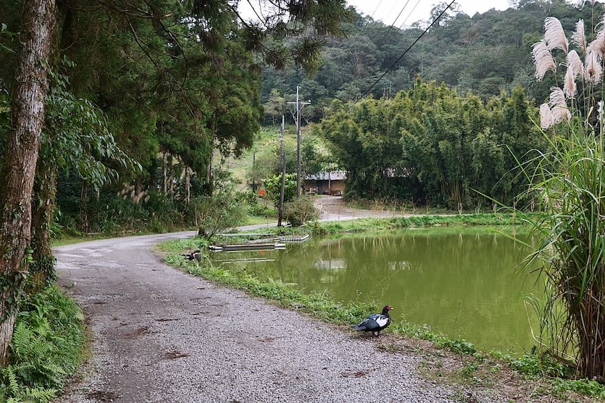 宜蘭雙連埤環湖步道