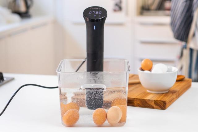 The best sous vide machine and gear