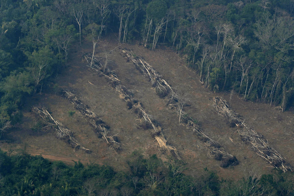 Deforestation advances into the jungle near Jaci Parana, state of Rondonia, Brazil, Saturday, Aug. 24, 2019. Brazil says military aircraft and 44,000 troops will be available to fight fires sweeping through parts of the Amazon region. The defense and environment ministers have outlined plans to battle the blazes that have prompted an international outcry as well as demonstrations in Brazil against President Jair Bolsonaro's handling of the environmental crisis. (AP Photo/Eraldo Peres)