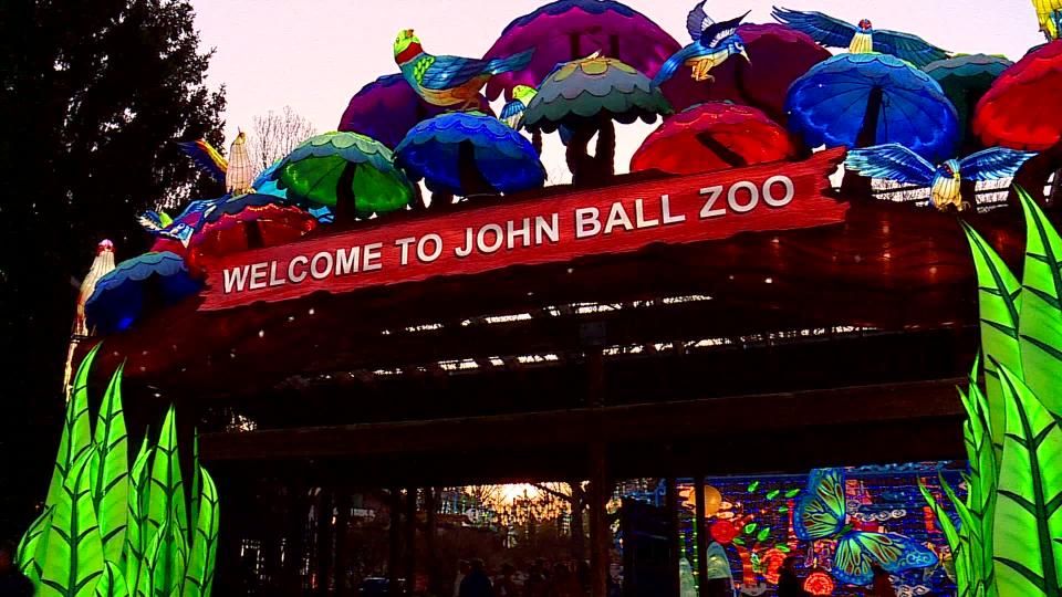 John Ball Zoo's Lantern Festival. (April 9, 2024)