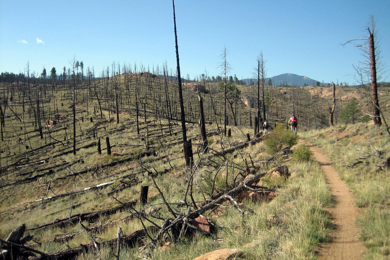 Buffalo Creek, Colorado