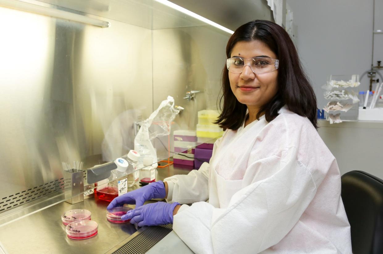 Debjani Pal’s work with cancer cell lines informed the linkage between signaling pathways in the PAN protein domain and the growth of cancerous tumors.