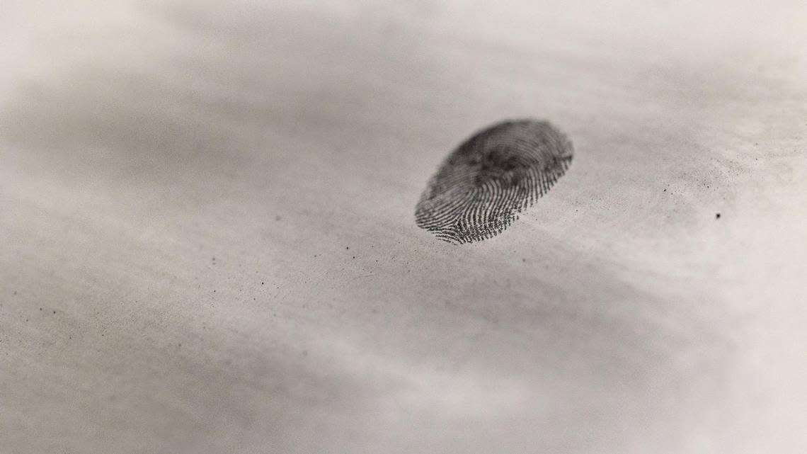 This photo illustrates what a latent fingerprint would look like after dusting. Prints are them fumed with cyanoacrylate, commonly called super glue, then photographed to compare with other known prints.