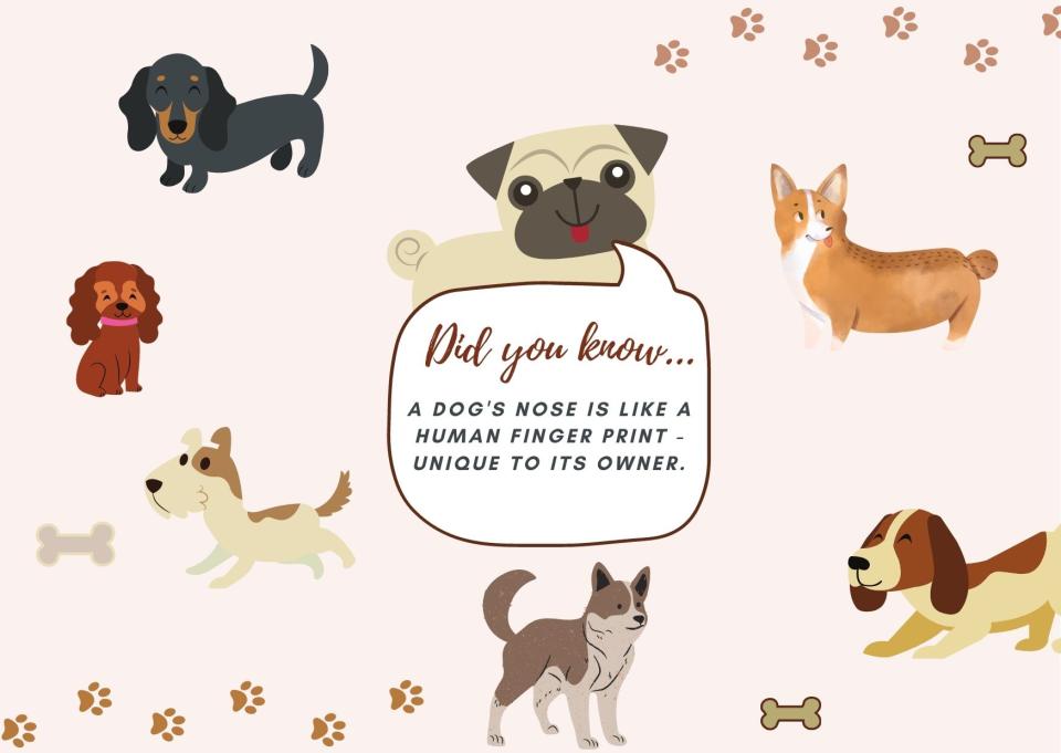 Graphic with different dog breeds on sharing the fact