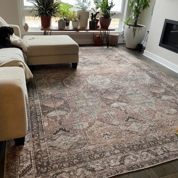 the rug in brown in a person's living room