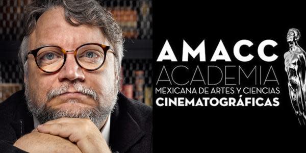 Guillermo del Toro condena la destrucción del cine mexicano y sus instituciones sin precedentes