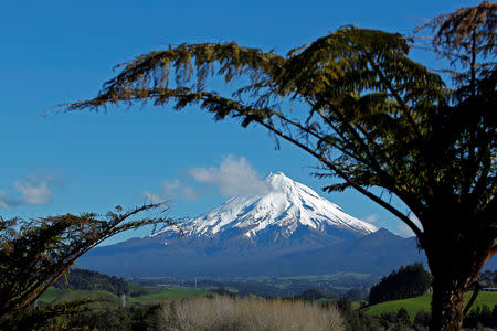 FILE PHOTO - A view of Mount Taranaki near New Plymouth September 26, 2011. REUTERS/Bogdan Cristel/File Photo