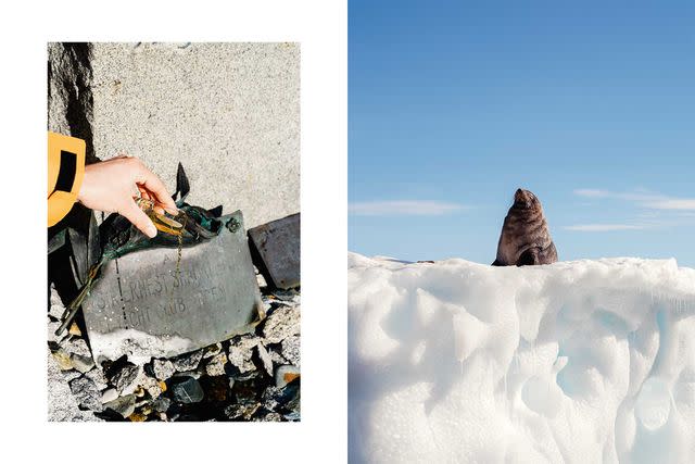 <p>Carol Sachs</p> From left: It&#39;s tradition to have a glass of whiskey at the grave of Ernest Shackleton, then pour out a sip for him; a fur seal basks in the sun on an iceberg near Devil Island.