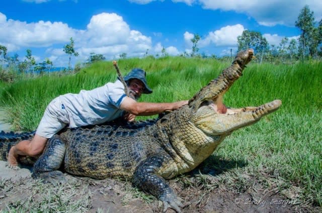 Crocodile attacks wildlife documentary star and partially severs hand