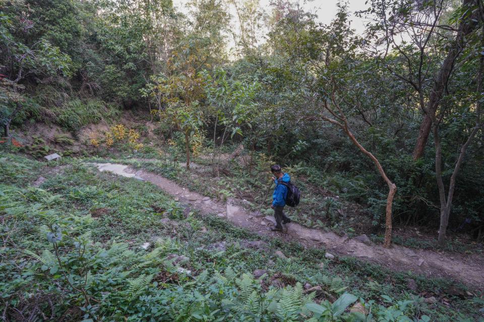 不少市民會到山徑行山休憩。
