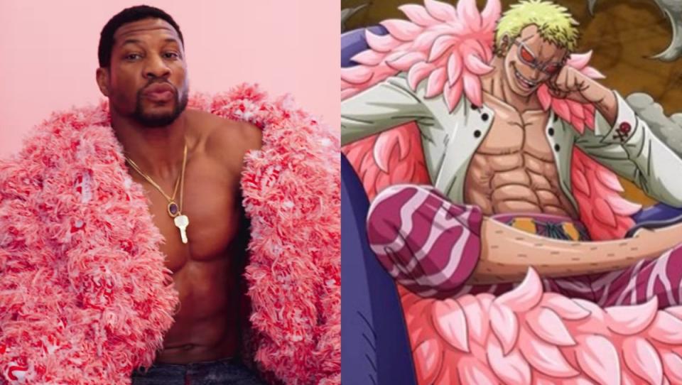 split image of Jonathan Majors and Doflamingo from One piece with similar styles of pink feather coat